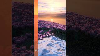 Shader Comparison of BSL Shaders and Bliss Shaders shorts distanthorizons terraforged fyp [upl. by Eadwina999]