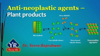 Antineoplastic agents  Plant products  Etoposide  Vinblastine  Vincristine  YR Pharma Tube [upl. by Elinnet]