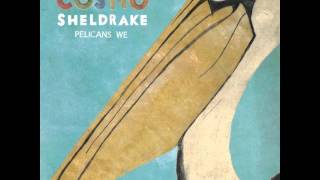 Cosmo Sheldrake  Pelicans We [upl. by Aluk]