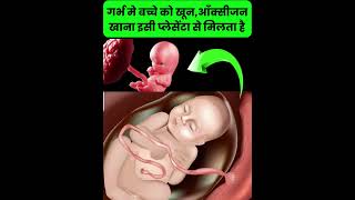 गर्भ मे बच्चे को खूनआँक्सीजन खाना इसी प्लेसेंटा से मिलता है pregnancytips pregnancytipsinhindi [upl. by Alakim]