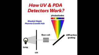 How do UV and PDA Detectors work [upl. by Bega]