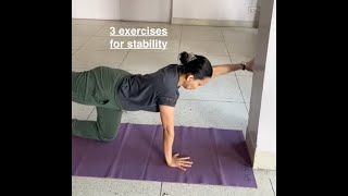 3 exercises for stability in the back [upl. by Oht]