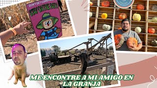 quot¿Qué Hace Única a Esta Feria Agrícola en EEUU ¡Descubre la Magia de las Calabazasquot [upl. by Lavine]