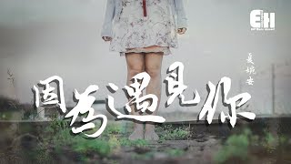 夏婉安  因為遇見你『我一次次地失眠輾轉反。』【動態歌詞Lyrics】 [upl. by Ferdinana]