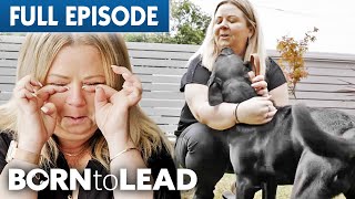 quotMy Life Was Overquot  Guide Dog Leads Client out of Dark Time 🦮  Born to Lead Episode 4  Bondi Vet [upl. by Dorelia]