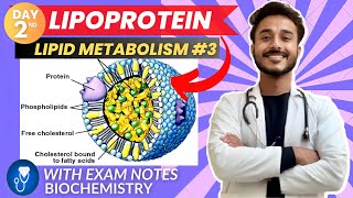 lipoprotein biochemistry  biochemistry of lipoprotein classification  lipoprotein metabolism [upl. by Craven]