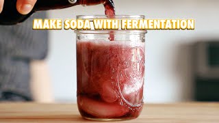 Make a Soda Out of Anything With Fermentation [upl. by Burtie]