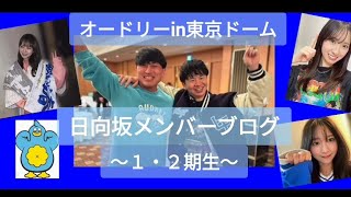 オードリーin東京ドーム 日向坂メンバーブログ １・２期生 ☆イヤホン推奨 [upl. by Akcirehs]