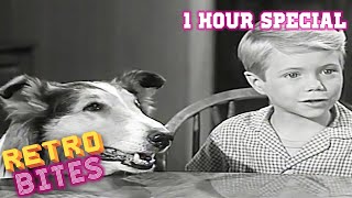 Lassie  1 Hour Compilation  Full Episodes  Kids Cartoon  Videos For Kids [upl. by Neyrb945]