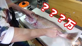 1ｇあたり⇒140万円？14円？04円？の国宝級の魚が入りました。きまぐれ史上最高峰の味。是非見て。 [upl. by Marquet]