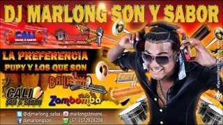 La Preferencia  Pupy y los que Son  DJ Marlong Son y Sabor 2013 [upl. by Novaelc771]