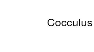 How to pronounce Cocculus [upl. by Fernandina]