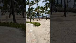 Hotel Catalonia Royal Bávaro 🌺 puntacana allinclusive dominicanrepublic [upl. by Fraze]