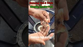 Speaker Reconing Tips amp Tricks dj reels viralshorts electronic facts [upl. by Yrrek]