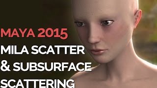 New SUBSURFACE SCATTERING in MAYA 2015 tutorial  MILA SCATTER [upl. by Ylaek]