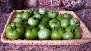 How to Ripen Green Tomatoes Indoors [upl. by Deenya]