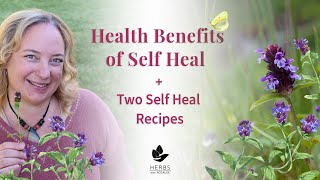 Health Benefits of Self Heal  Two Self Heal Recipes [upl. by Thrasher]