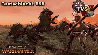 Norsca Flankenwölfe  Gastschlacht 58  von Alienhunter  Total War Warhammer Deutsch [upl. by Aihsakal645]