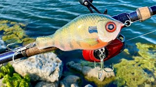 Making Musky Baits and Fishing with a Pro [upl. by Cochard]