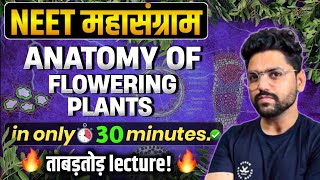 NEET महासंग्राम🔥 ANATOMY OF FLOWERING PLANTS  Neet 2024 [upl. by Noteek475]