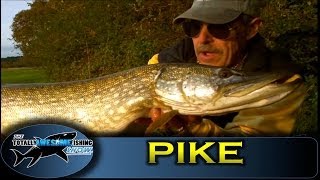 Pike fishing  Sprats vs Sardines  Battle of the Baits [upl. by Noraj]