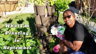 What Im Planting in September [upl. by Eirroc]