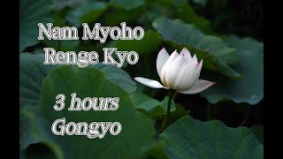 Miracle Gongyo  Very Fast 3 Hrs Nam Myoho Renge Kyo [upl. by Tootsie]