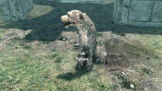 Skyrim  How To Get Multiple Dogs In Your Player Home [upl. by Grubman]