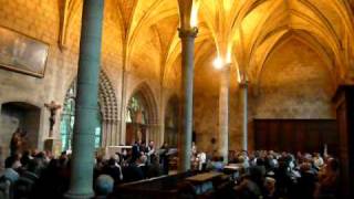 Calvin and Huguenot music at cathedral Noyon on the 500th [upl. by Severin586]