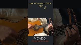 Learn Picado with Learn Flamenco Guitar App guitar flamencoguitar fingerstyle picado [upl. by Nilek]