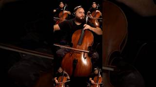 Cello makes the most EPIC music  Hollow Knight  Broken Vessel Cello Cover w Original Solo [upl. by Mendel]