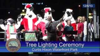 Curtis Hixon Waterfront Park Tree Lighting Ceremony  December 2013 [upl. by Maurreen]