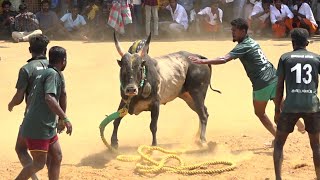 அரிட்டாபட்டி இளம நாயகி அம்மன் வீரர்கள் VS பாசாங்கற கட்டும் மாடு கருப்பையா காளைகல்லம்பட்டி வடமாடு [upl. by Aredna710]