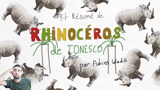 Ptit résumé de Rhinocéros  le résumé pour les pressés [upl. by Nitsid]