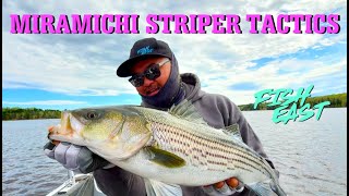 Techniques for Targeting Striped Bass Miramichi River [upl. by Hamlet]