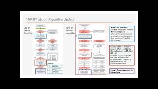 Overview of Updates for Neonatal Resuscitation NRP 8th Edition [upl. by Kcirdderf]