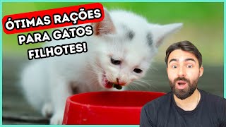 ÓTIMAS RAÇÕES PARA GATOS FILHOTES [upl. by Leohcin]