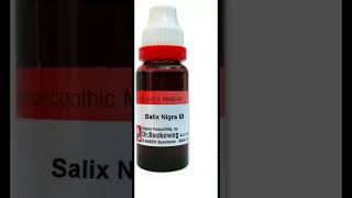 Salix nigra uses in english Effective homoeopathic medicine for male impotency spermatorrhea [upl. by Orella]