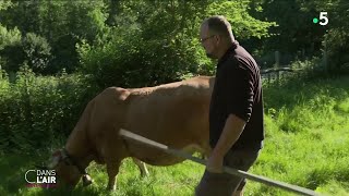 Chez les Agriculteurs la crise agricole semble loin des élections  Reportage cdanslair 14062024 [upl. by Nylidnam251]