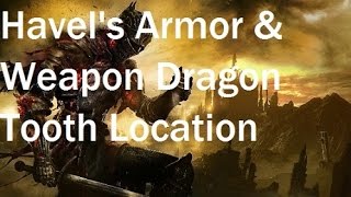 Dark Souls 3  How To Get Havels Armor And Dragon Tooth [upl. by Aicirt254]