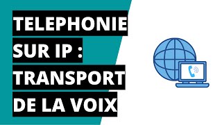 ToIP Basics  Le transport de la voix en téléphonie sur IP [upl. by Leseil495]