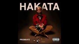 PROBEATZ  Palesa ft Mac bros [upl. by Alfi]