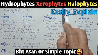 Osmotic Adjustment In Plants  Hydrophytes Xerophytes amp Halophytes  Class 10 Biology [upl. by Ford]