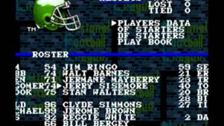 The All Philadelphia Eagles Team According to Tecmo Super Bowl [upl. by Yacano260]