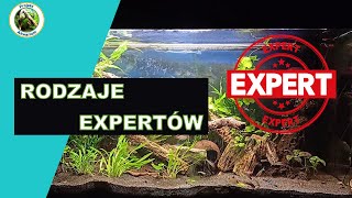 Rodzaje Expertów [upl. by Nnaj]