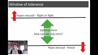 Window of Tolerance  a simple tool for emotional regulation [upl. by Anhcar]