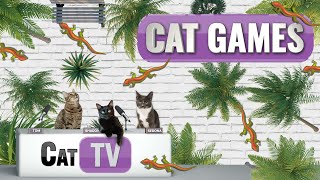 CAT TV  Larry the Lizard  A Playful Adventure Across Diverse Lands  Videos For Cats to Watch  😼 [upl. by Elison]