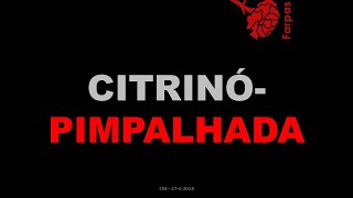 Citrinó Pimpalhada [upl. by Ardnama]