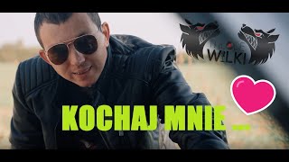 Młode Wilki feat JAREK BANDZIOREK amp DANUSIA  KOCHAJ MNIE Official video4k 2024 [upl. by Ainiger]