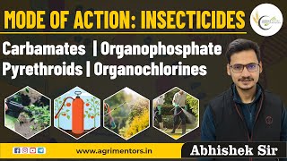 Mode of Action Insecticides  Carbamates  Organophosphate  Pyrethroids  Organochlorines [upl. by Tada]